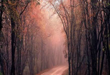 企业推广,企业推广方式有哪些