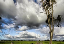 免费动态视频背景下载,动态背景视频app推荐