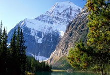 服务流程的英文,服务流程的英文翻译