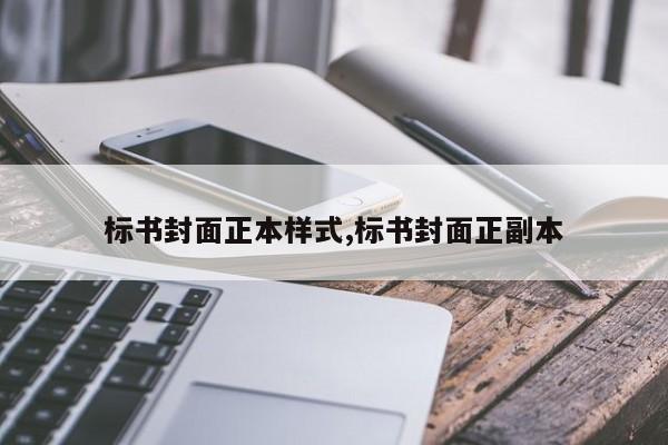 标书封面正本样式,标书封面正副本