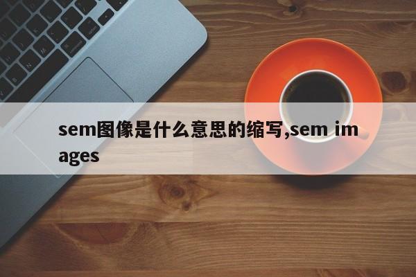 sem图像是什么意思的缩写,sem images